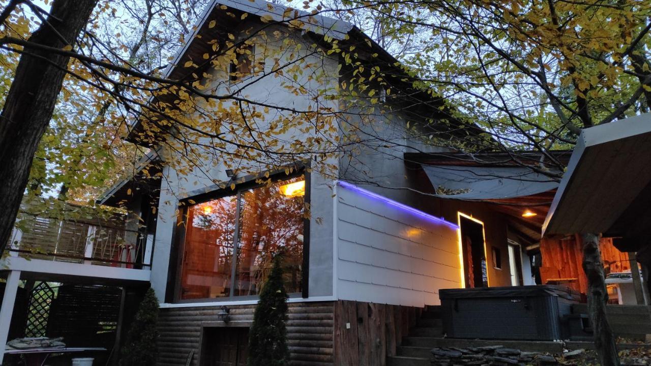 Forest Art Villa Zagreb Sveta Nedjelja  Exterior photo
