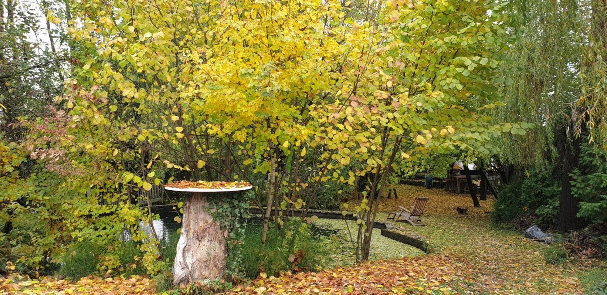 Forest Art Villa Zagreb Sveta Nedjelja  Exterior photo
